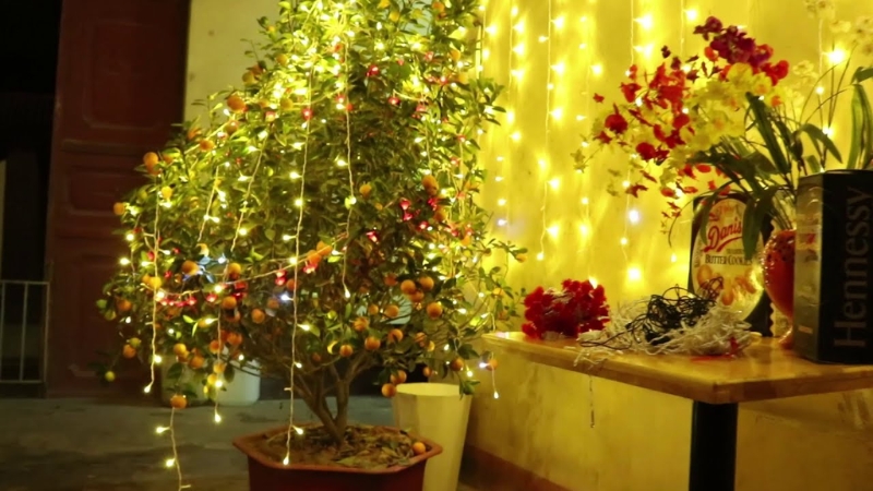 Đèn LED ánh vàng tạo không gian ấm áp ngày Tết