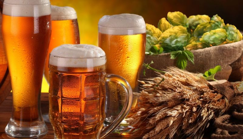 Chọn bia phù hợp nhiều độ tuổi trong gia đình