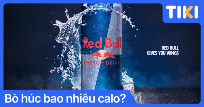 1 lon bò húc bao nhiêu calo? Uống nước tăng lực có mập không?