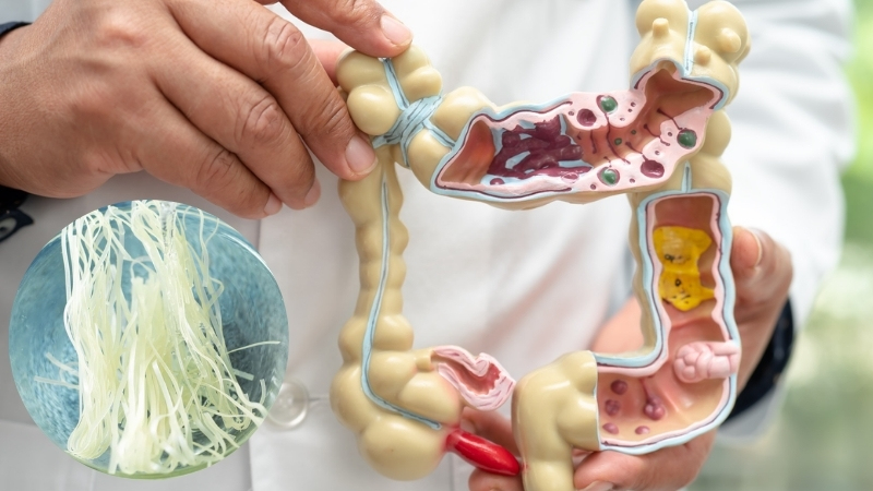 Bún gạo khô mang đến nhiều lợi ích tốt cho hệ tiêu hóa