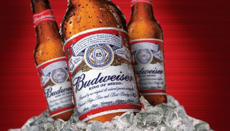 Bia Budweiser dễ uống phù hợp cho tiệc gia đình