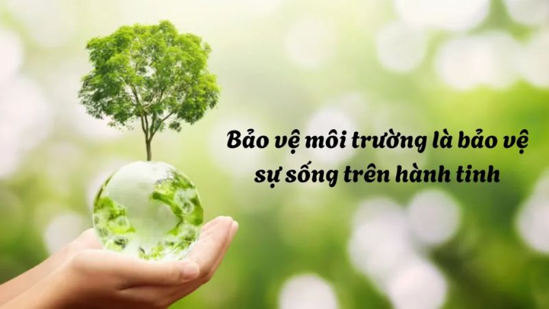 Câu nói truyền cảm hứng về việc bắt đầu lối sống xanh từ những việc nhỏ