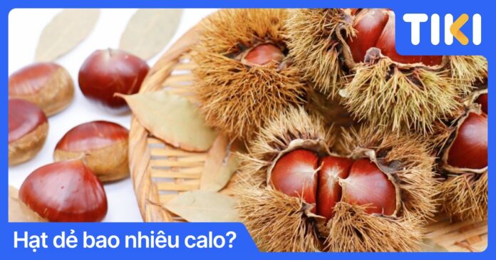 Hạt dẻ bao nhiêu calo? Bí quyết ăn hạt dẻ giảm cân hiệu quả