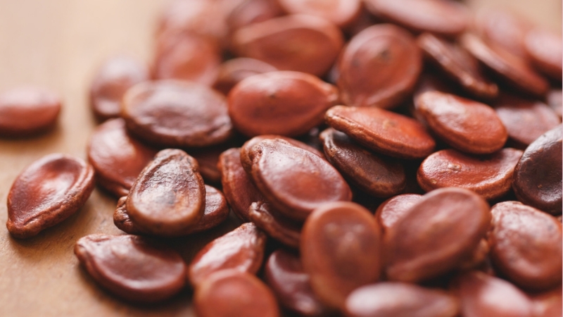 Thành phần dinh dưỡng trong hạt dưa