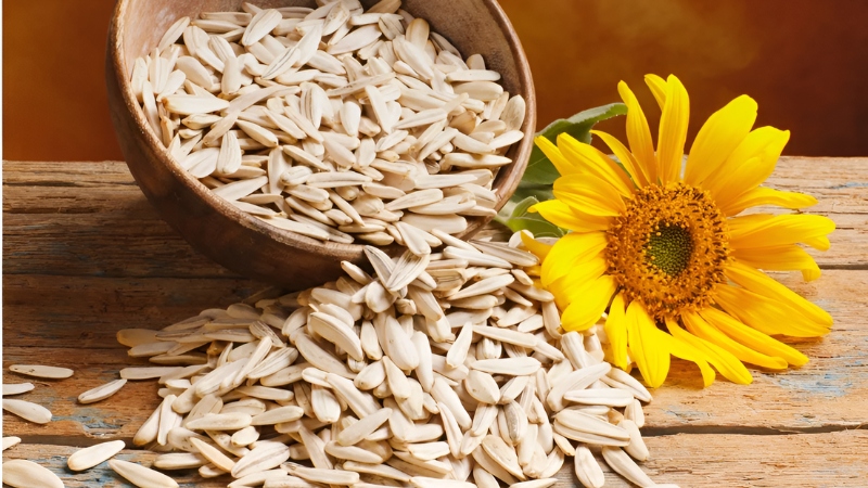 Nguy cơ tăng cân khi ăn hạt hướng dương quá nhiều
