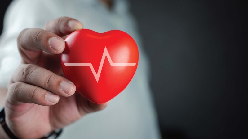 Ăn hạt hướng dương giúp hỗ trợ sức khỏe tim mạch