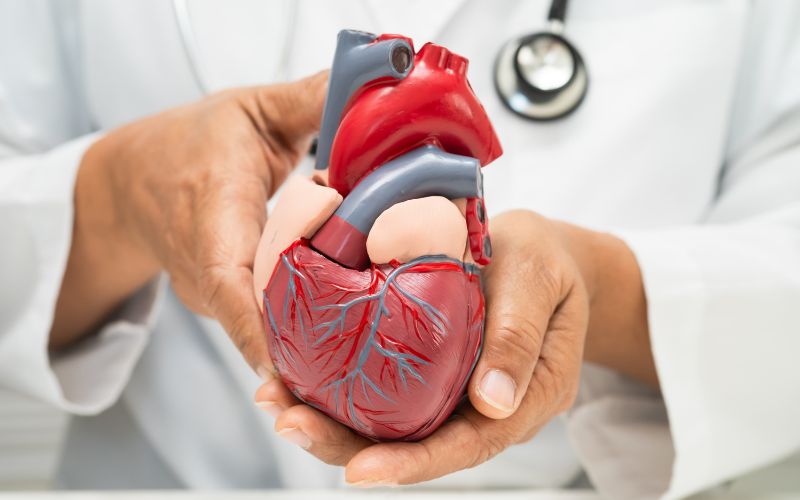 Góp phần bảo vệ sức khỏe tim mạch