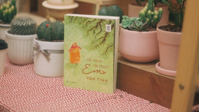 Bước ngoặt từ sự thất tình đến lời tỏ tình muộn màng