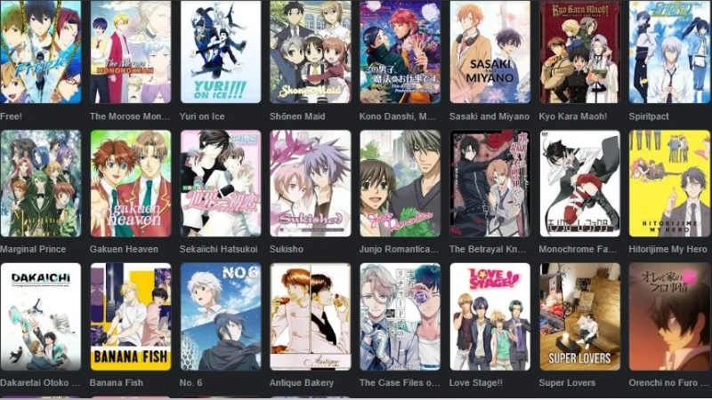 Các tác phẩm thường đề cập đến những băn khoăn về bản dạng hoặc sự chấp nhận của xã hội