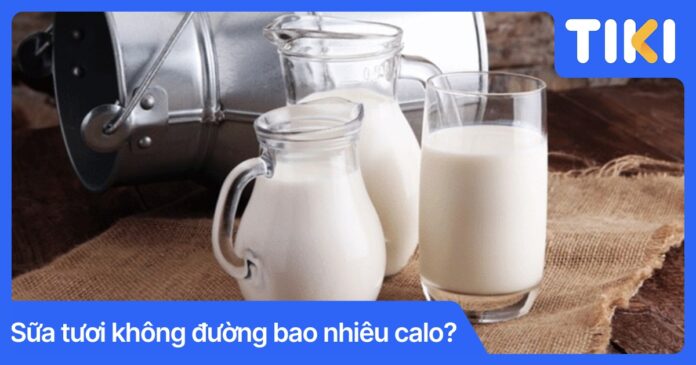 Sữa tươi không đường bao nhiêu calo? Bảng tra cứu chi tiết nhất