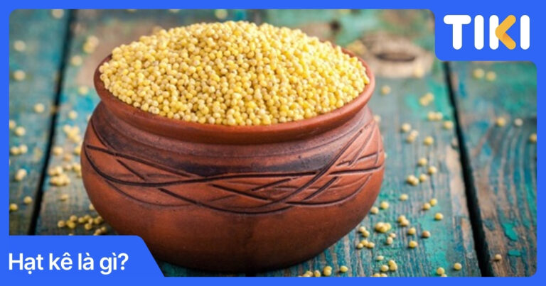 Hạt kê là gì? Công dụng và cách dùng hạt kê chuẩn nhất