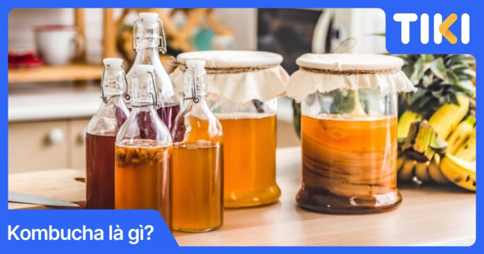 Kombucha là gì? Khám phá lợi ích tuyệt vời của trà nấm lên men