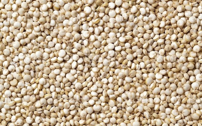Hạt diêm mạch chứa nhiều protein và axit amin tốt cho cơ thể