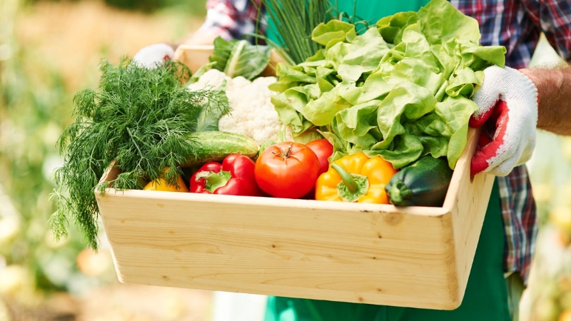 Thực phẩm Organic ngày càng được ưa chuộng