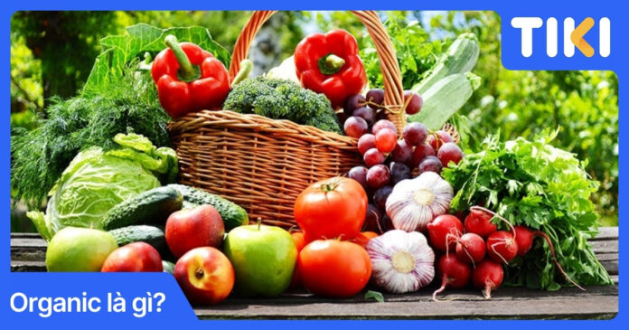 Organic là gì? Hiểu đúng về thực phẩm hữu cơ và tiêu chuẩn chọn