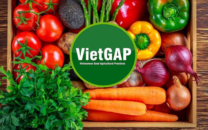 Bạn nên chọn thực phẩm có chứng nhận VietGAP để đảm bảo an toàn sức khỏe