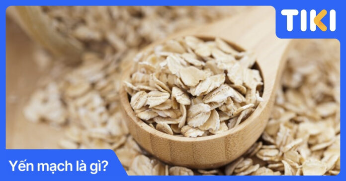 Yến mạch là gì? Thành phần dinh dưỡng và cách dùng hiệu quả