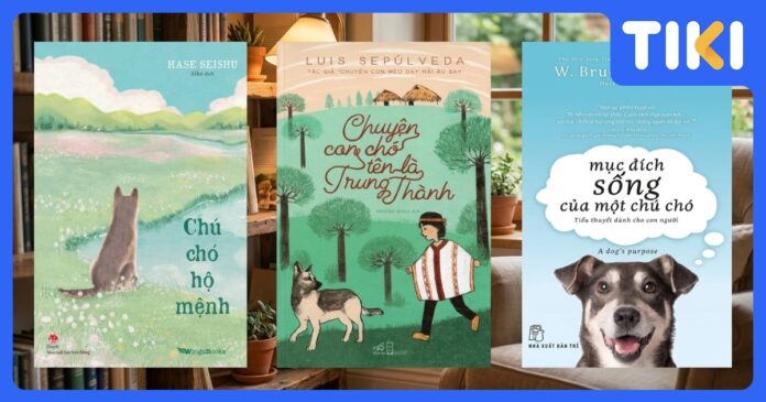 Top 10 những cuốn sách hay về chó cảm động và kiến thức