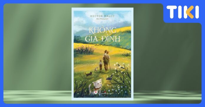 Review Không Gia Đình: Hành trình trưởng thành, giá trị nhân văn