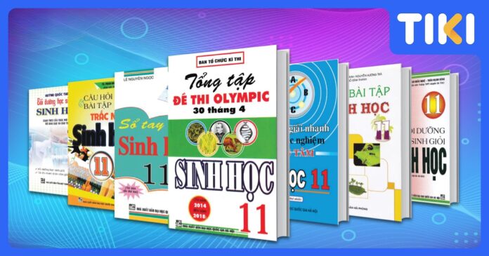 Sách Tham Khảo Lớp 11 Nên Mua: Bứt Phá Năm Học Bản Lề Hiệu Quả