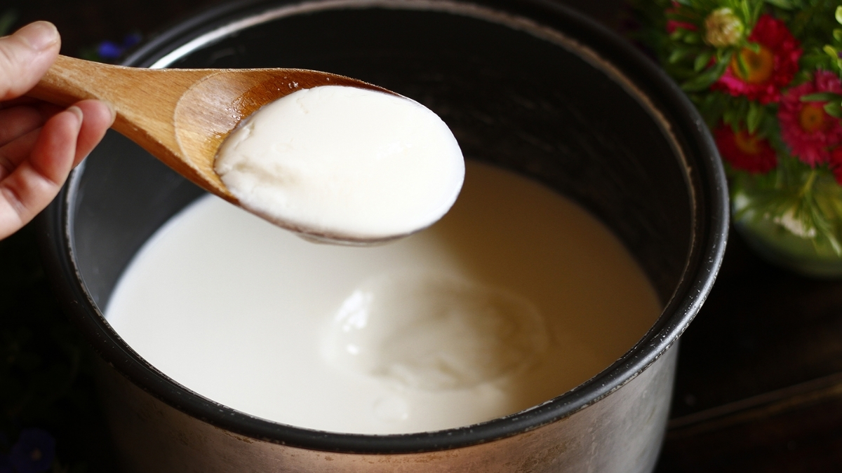 Cách ủ sữa chua bằng nồi cơm điện
