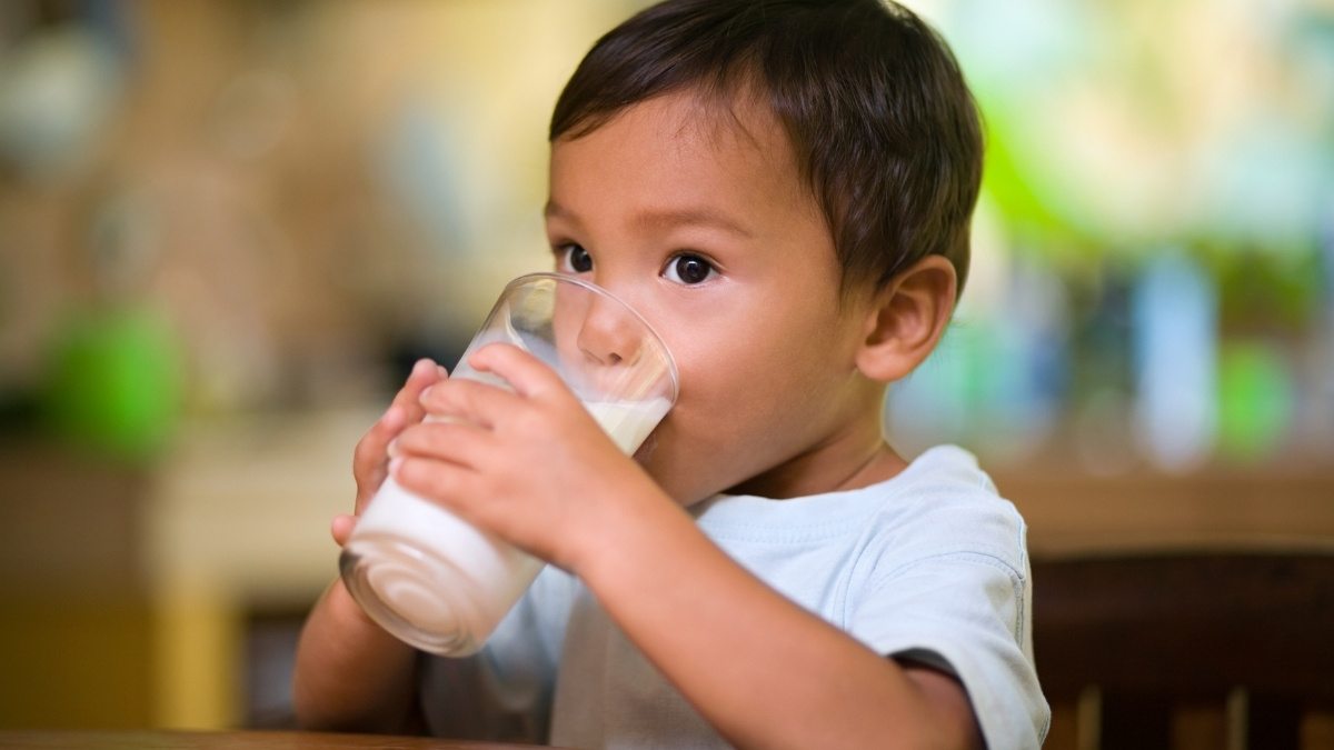 Trẻ 1 tuổi mới nên uống sữa tươi nhằm đảm bảo đường ruột bé cứng cáp để hấp thu dưỡng chất