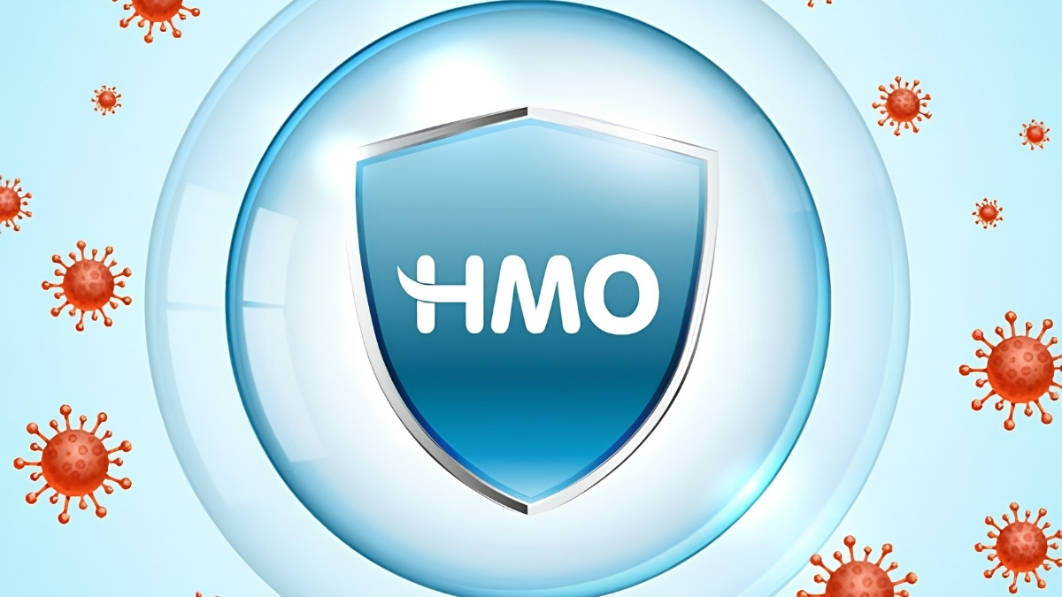 HMO góp phần hỗ trợ nuôi dưỡng vi khuẩn có lợi trong đường ruột, tăng cường miễn dịch