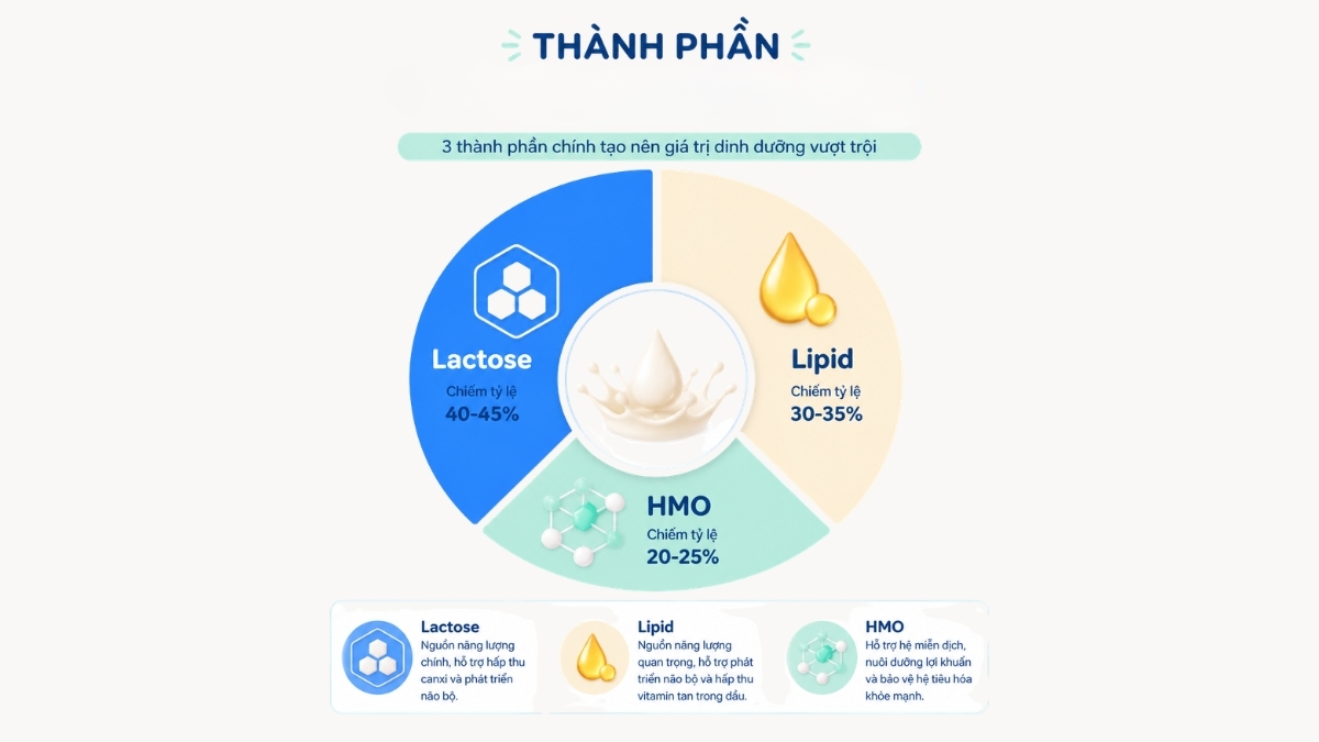 HMO là chất rắn có hàm lượng cao thứ ba trong sữa mẹ
