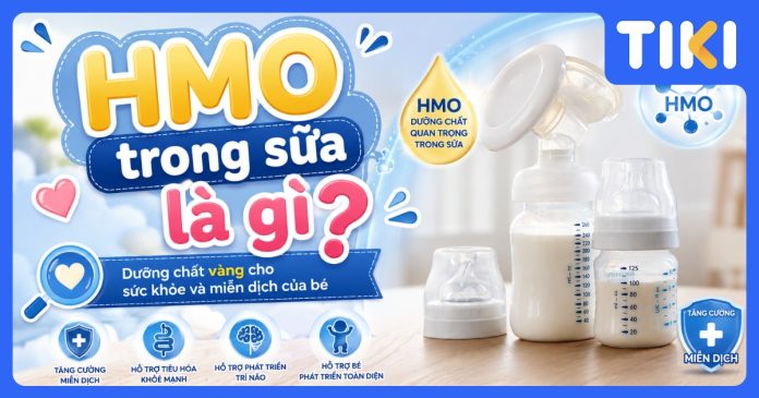 HMO trong sữa là gì? Vai trò thiết yếu cho hệ miễn dịch của bé