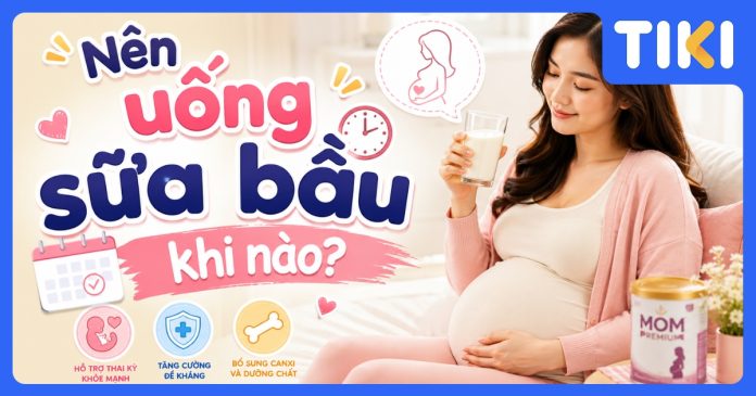 Nên uống sữa bầu khi nào để hấp thụ tốt và giảm ốm nghén?