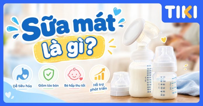 Sữa mát là gì? Tiêu chí chọn sữa hỗ trợ tiêu hóa cho bé