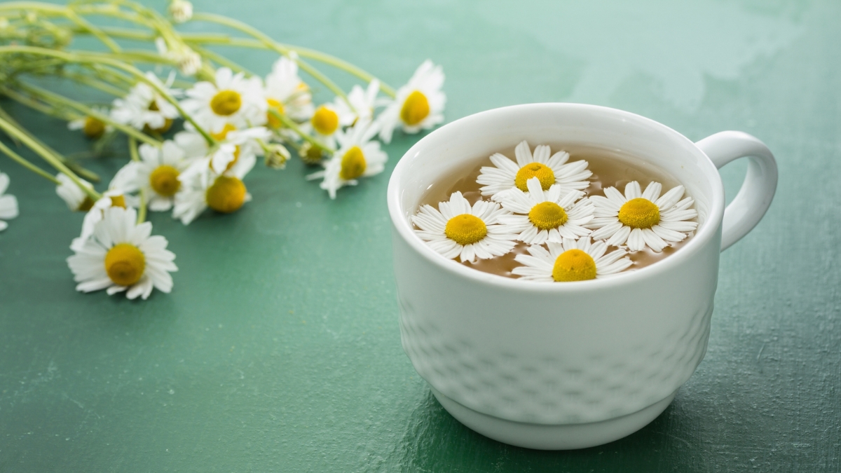Uống một tách trà ấm trước khi ngủ có thể tạo cảm giác dễ chịu