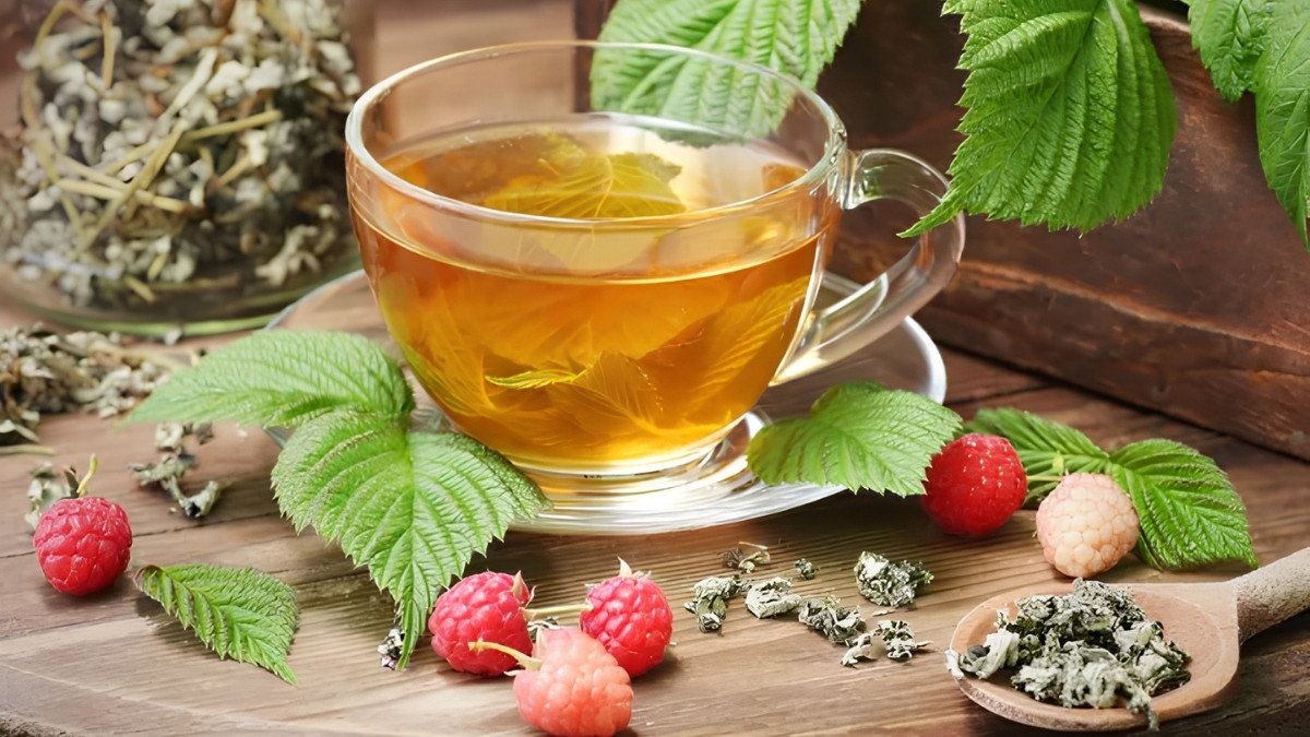 Trà lá mâm xôi chứa nhiều thành phần dinh dưỡng