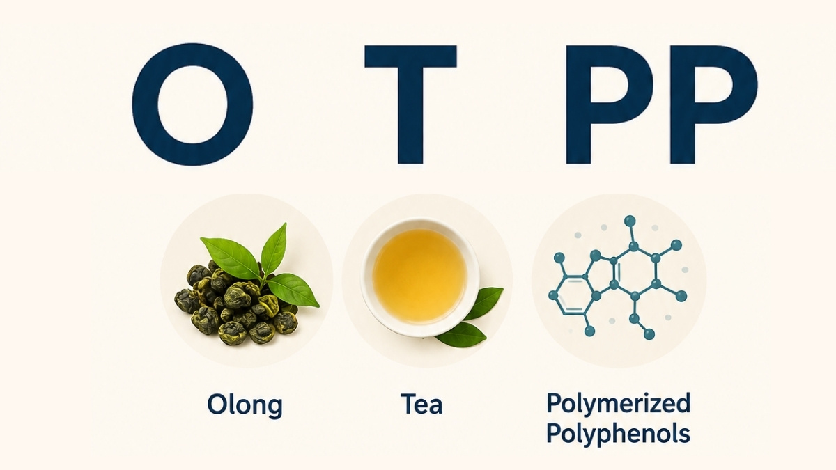 OTPP là cụm từ viết tắt thương mại của Oolong Tea Polymerized Polyphenols