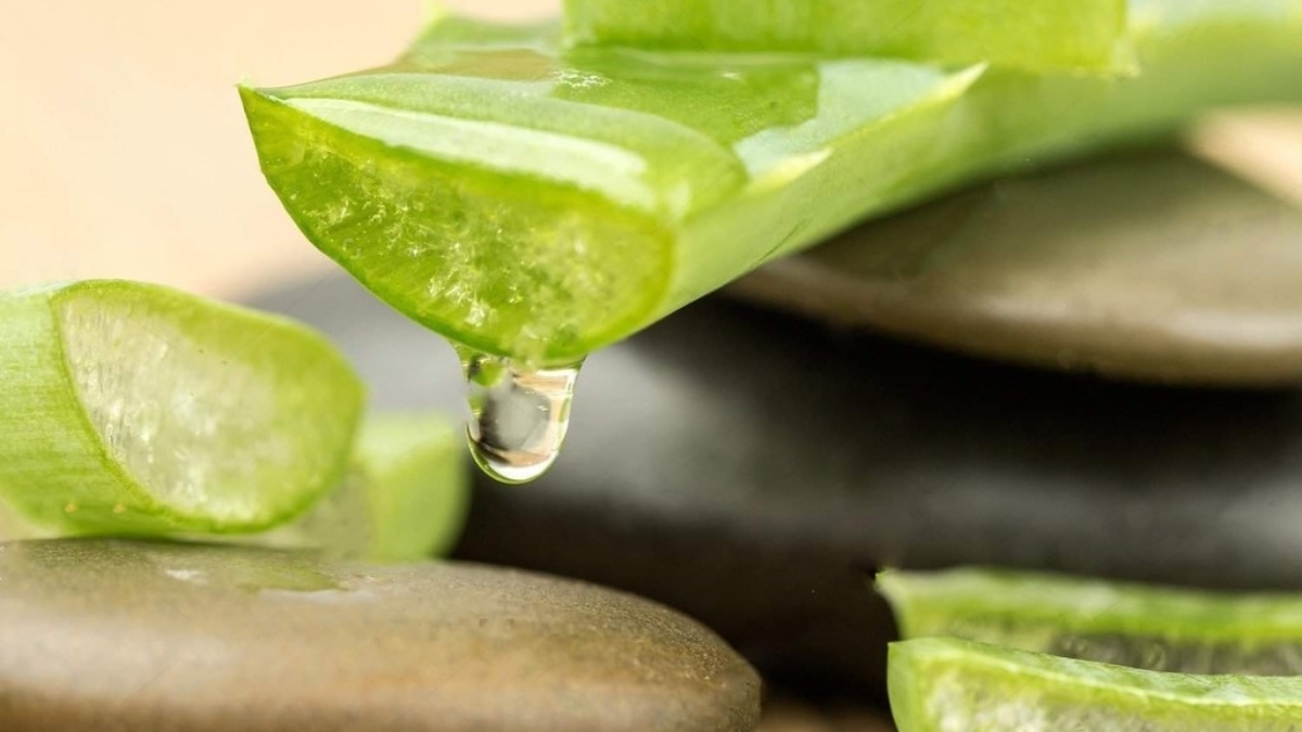 Thận trọng với nguyên liệu tự nhiên như nha đam