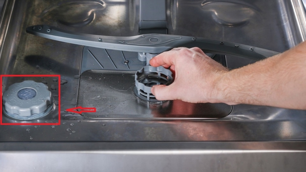 Xác định vị trí khoang chứa muối