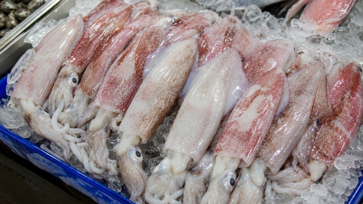 Chọn những con mực có phần da sáng bóng