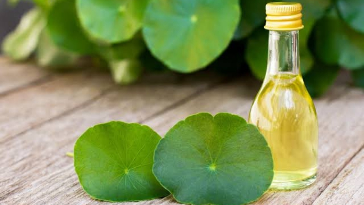 Chiết xuất thành phần thiên nhiên giúp làm dịu mụn viêm sưng