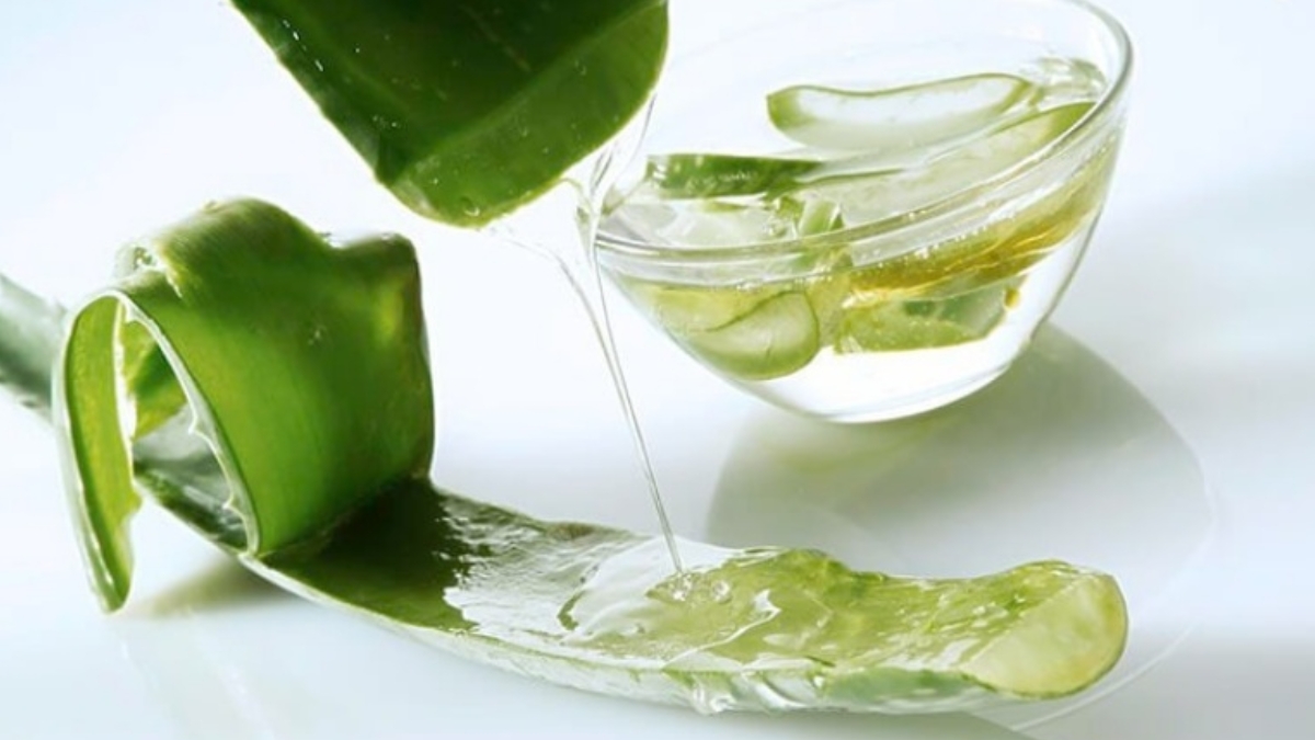 Làm dịu da đầu bằng nha đam nguyên chất