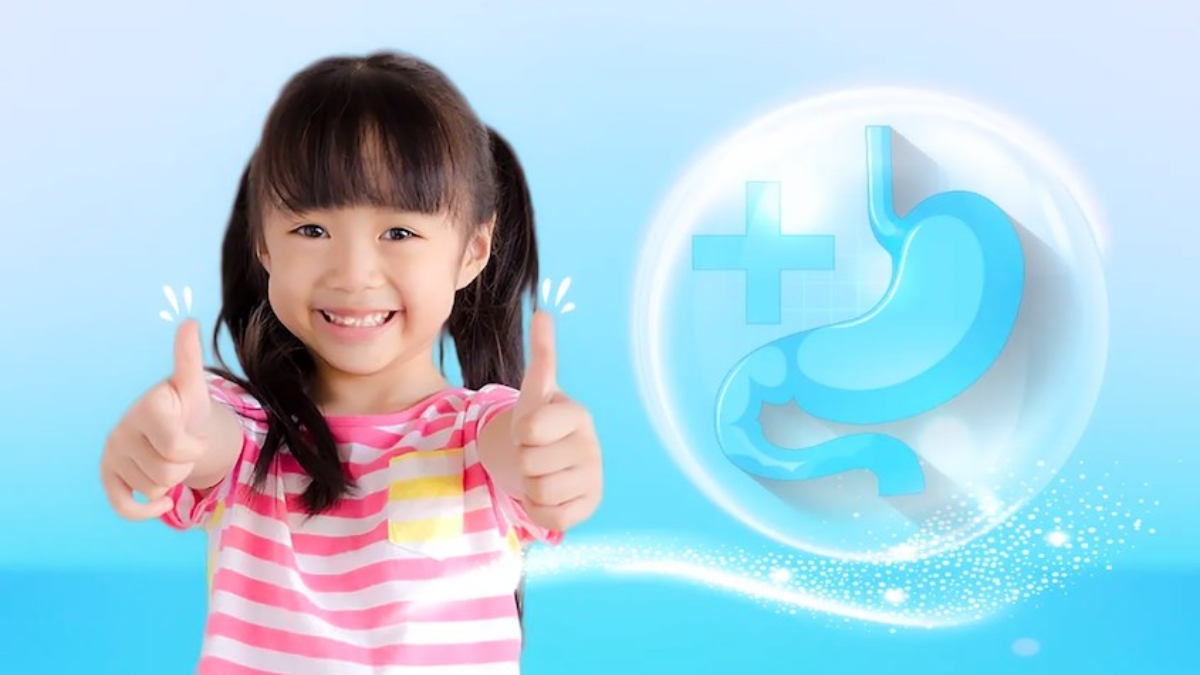 Sữa hỗ trợ hệ tiêu hóa, hạn chế táo bón