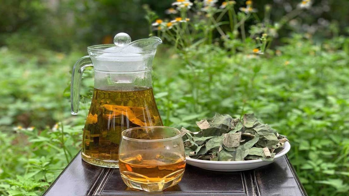 Lá sen chứa một số hợp chất thực vật có đặc tính chống oxy hóa