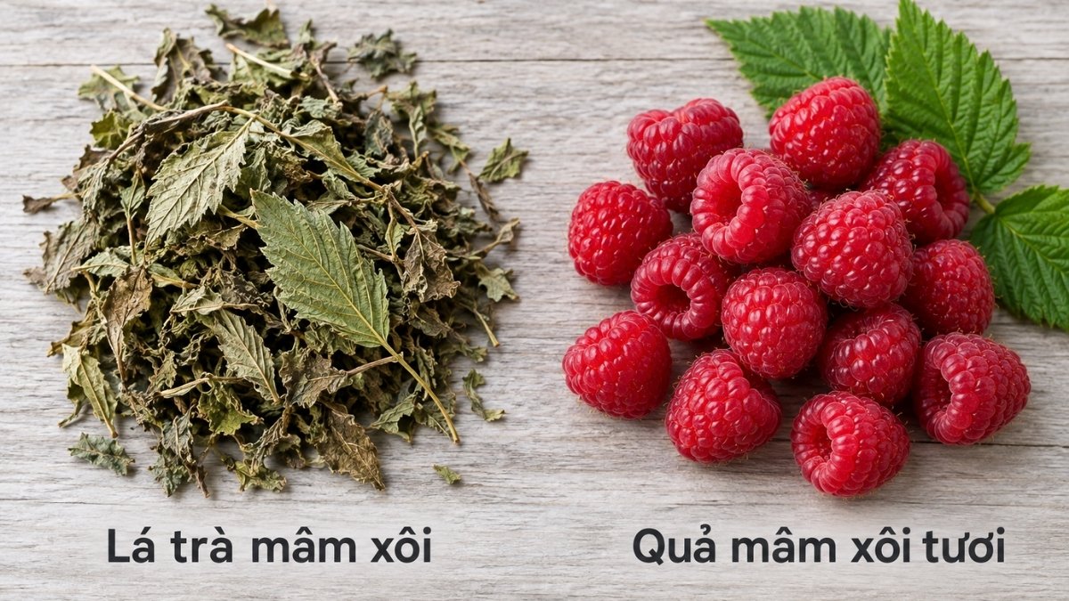 Trà lá mâm xôi được hãm từ phần lá non hoặc lá bánh tẻ sấy khô của cây mâm xôi đỏ