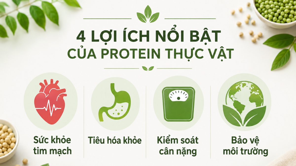 Bổ sung thực phẩm giàu protein thực vật mang lại nhiều lợi ích