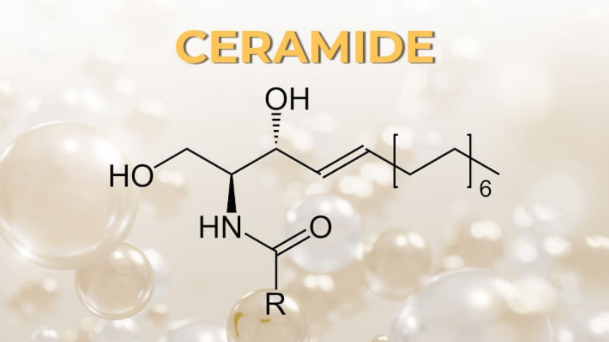 Ceramide là một loại lipid tự nhiên chiếm khoảng 40 - 50% tổng lượng chất béo tại lớp sừng