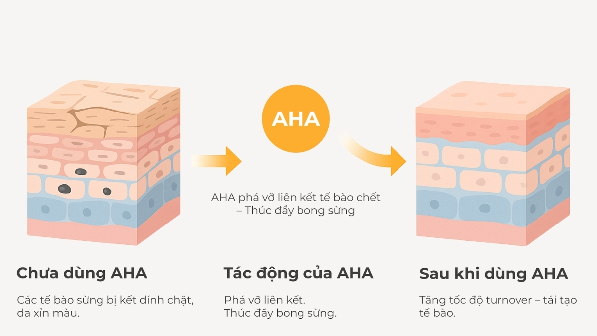 Cơ chế hoạt động của AHA