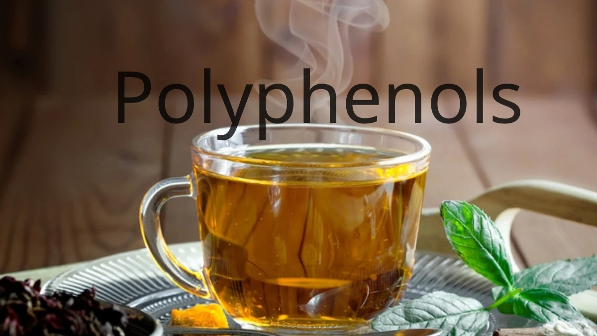 Polyphenols hỗ trợ giảm hấp thu chất béo