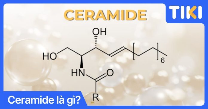 Ceramide là gì