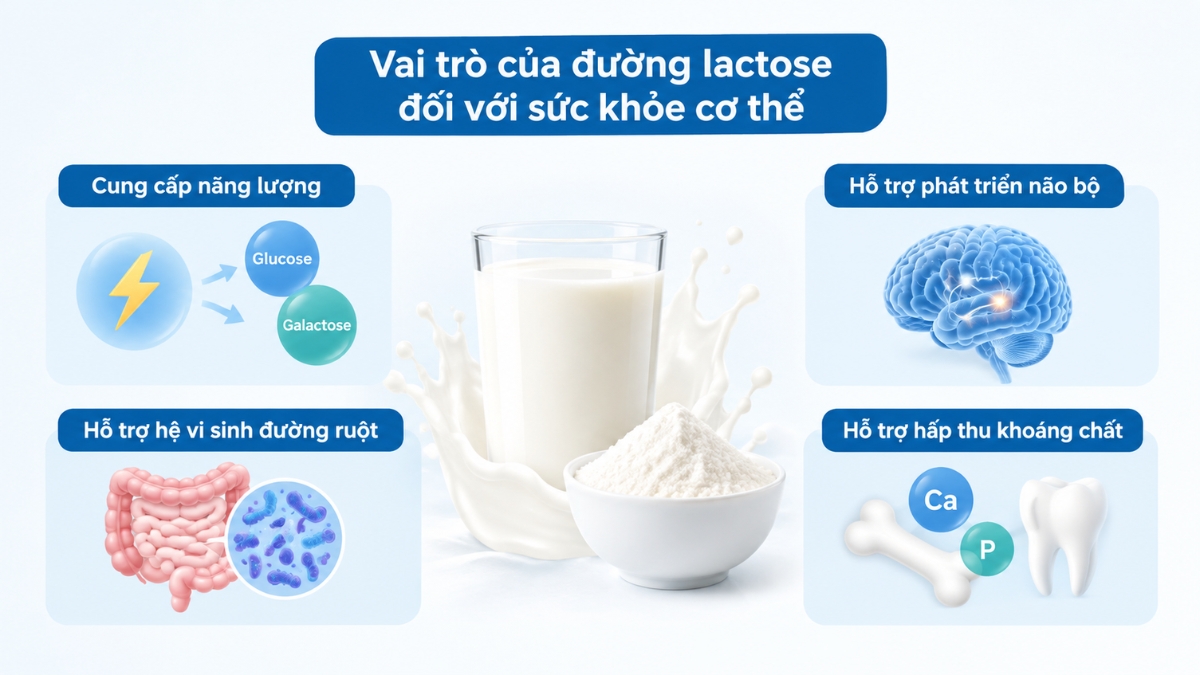 Loại đường này mang lại nhiều lợi ích cho cơ thể