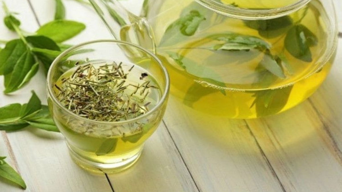 Ellagitannin tạo môi trường pH lý tưởng để kích thích các chủng vi khuẩn có lợi