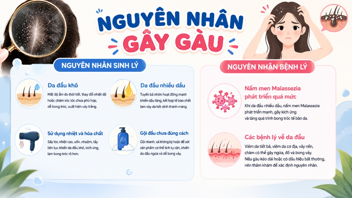 Nguyên nhân gây gàu ở da đầu